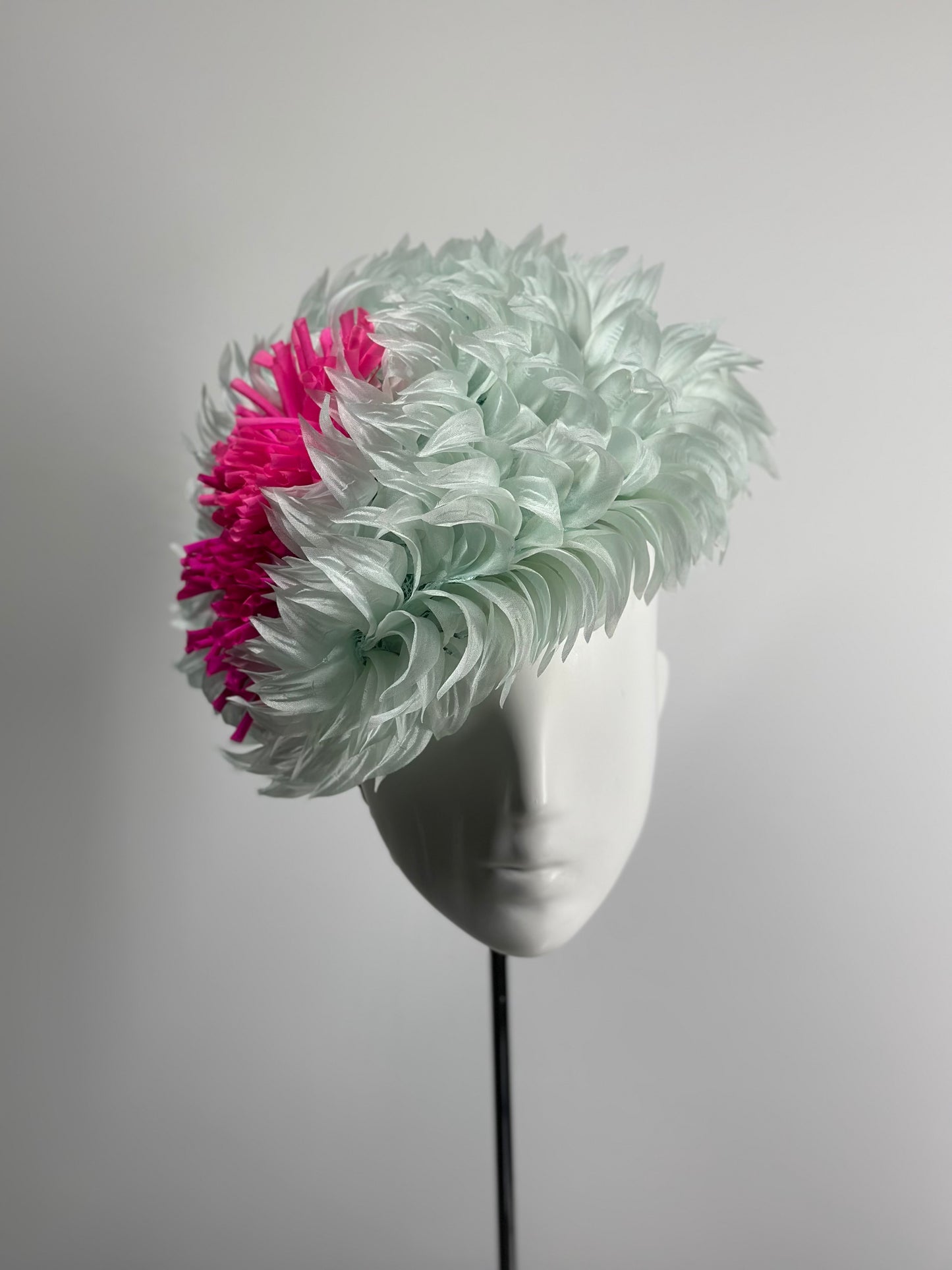 Cotton Candy Bloom